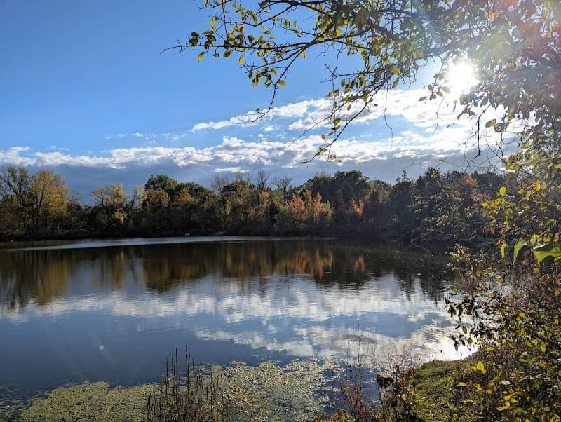 Oberlin Arboretum - Image 1