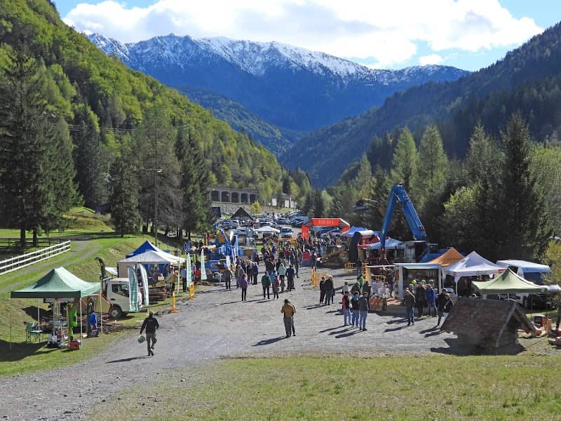 Fiera Forester - Image 1