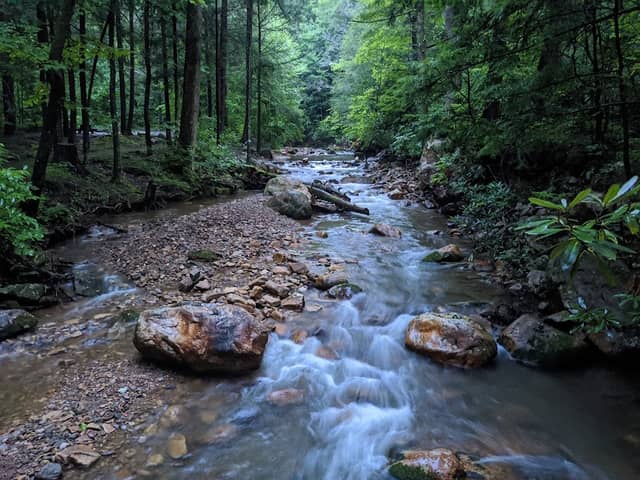 Horse Creek Campground - Image 2