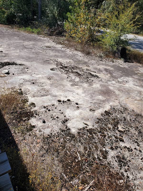 Arabia Mountain Administrative Office - Image 1