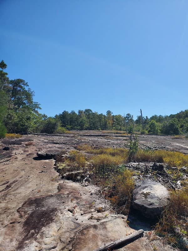 Arabia Mountain Administrative Office - Image 3