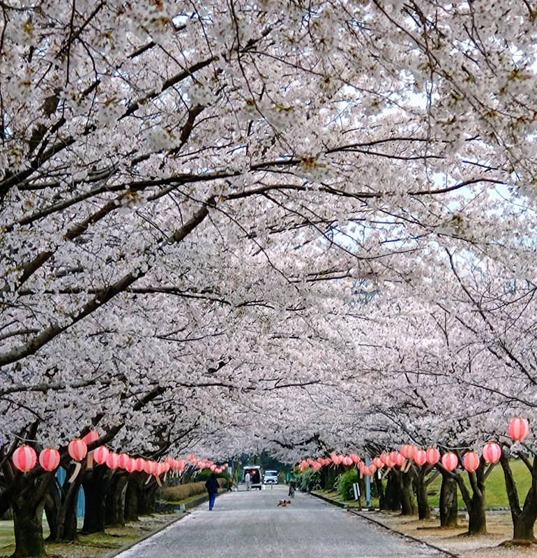 Awazu Park - Image 1