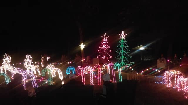 Park Of Christmas Lights - Image 1