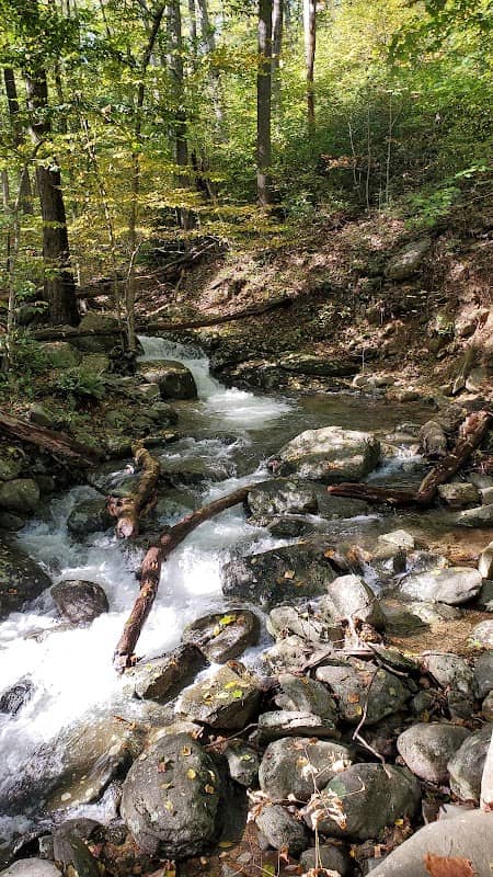 Nicholson Hollow Trail - Image 1