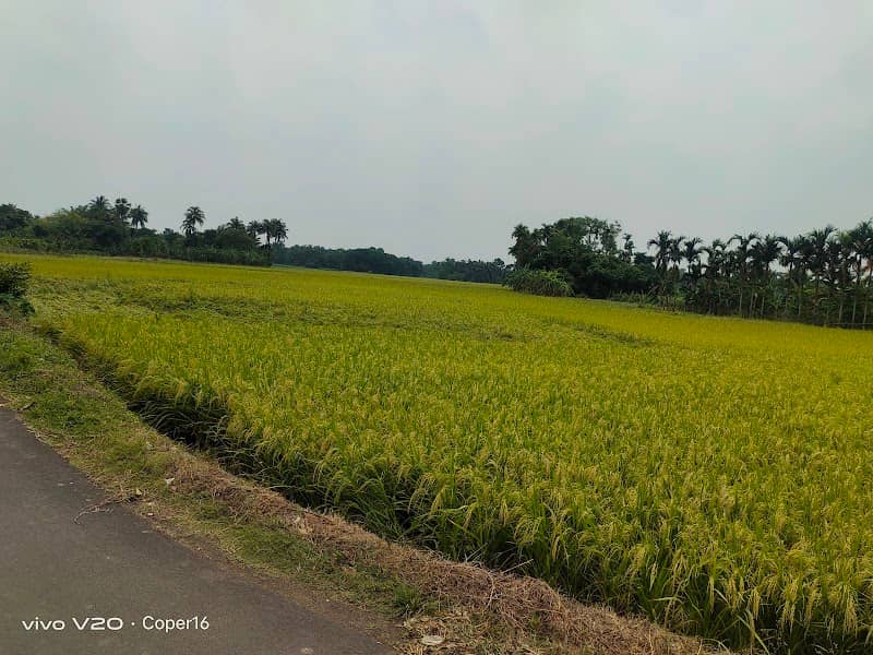 Singerber Green view - Image 2