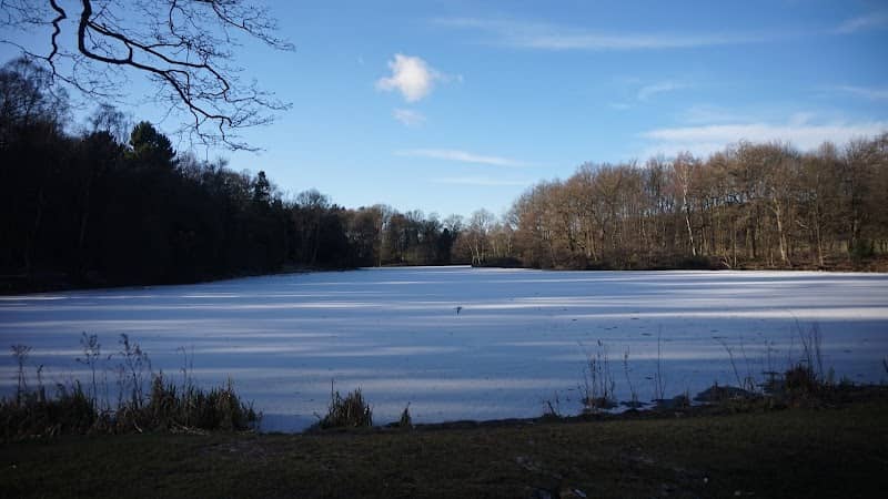 Nostell East Vista - Image 2