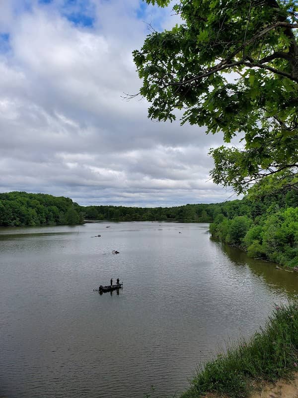 Alum Creek Osprey Watch - Image 1