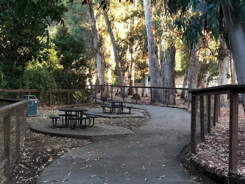 Dog park - Image 1