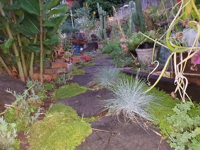 Holladay Gardens - Image 2