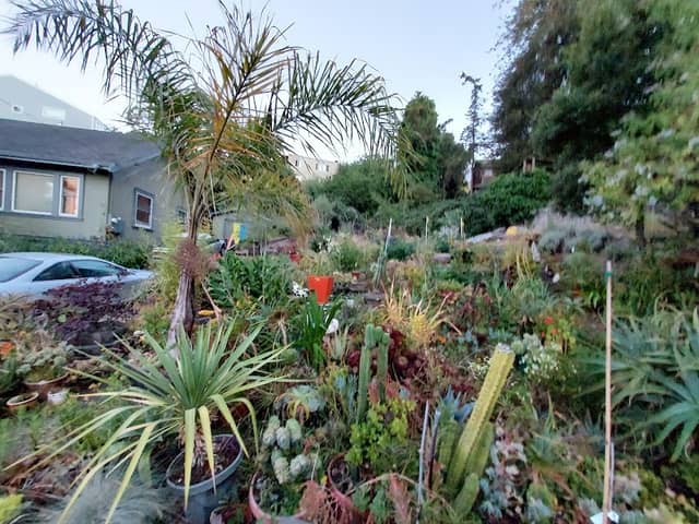 Holladay Gardens - Image 1