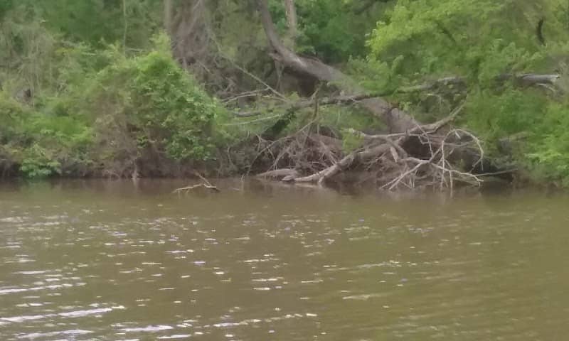 McLennan Park - Image 2
