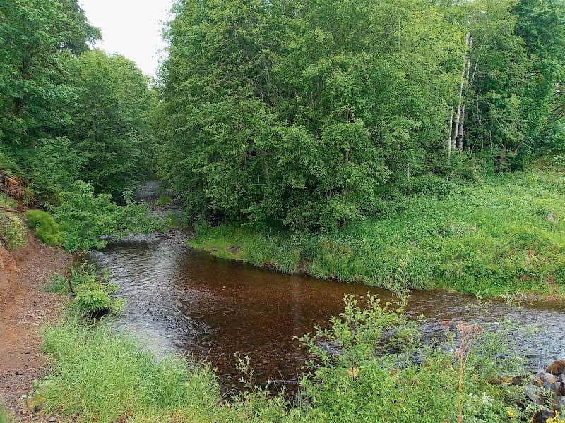 Hilburn Preserve - Capitol Land Trust - Image 2