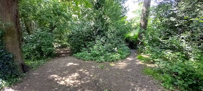 Mickleover Manor Public Open Space - Image 2
