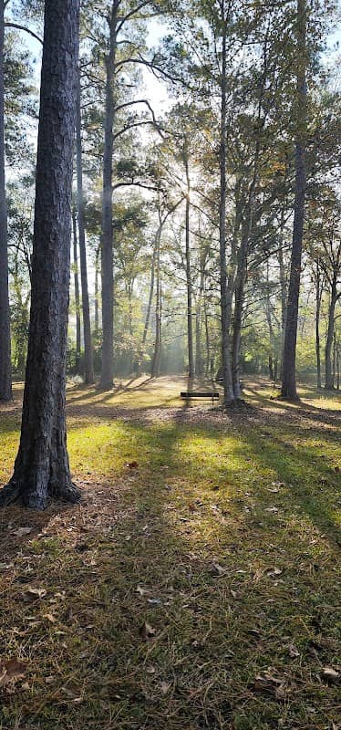 City Of Woodville Park - Image 1