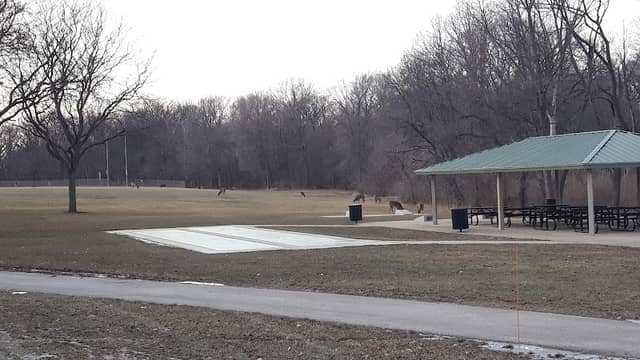 Village Park - Image 1