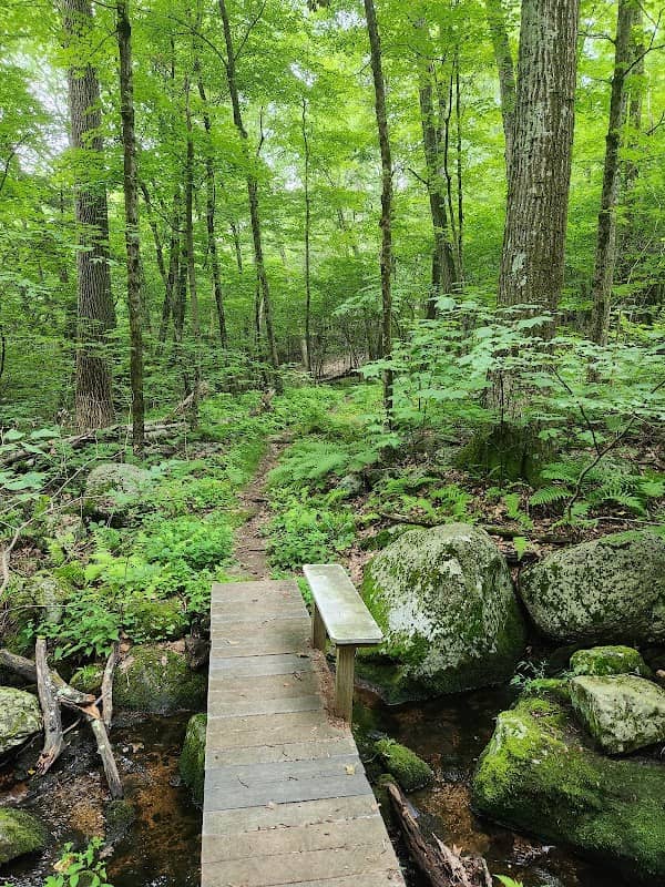 Ives Trail - Image 1