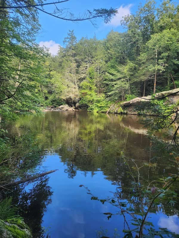 Ives Trail - Image 2