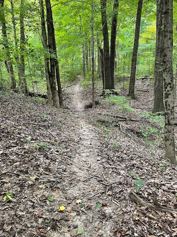 Cowan Lake Spillway Trail - Trailhead - Image 2