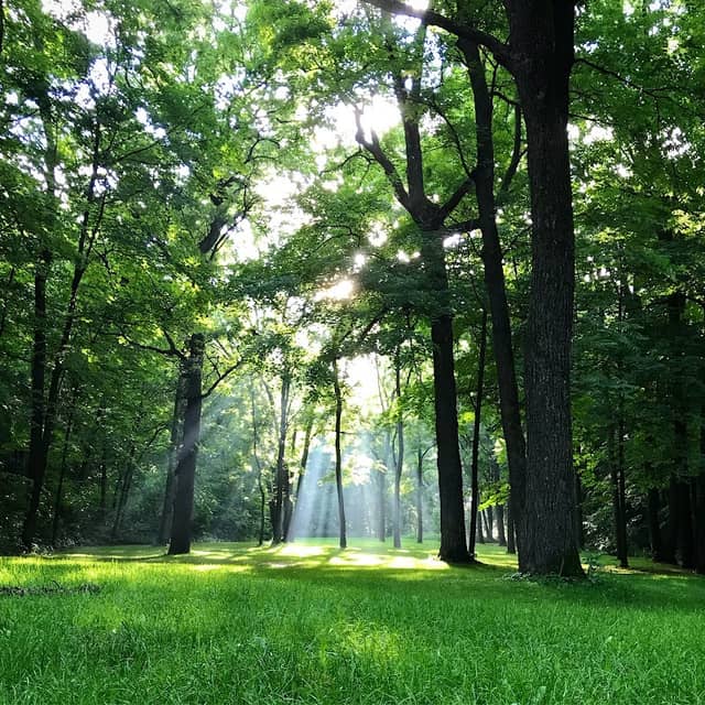 Schreiner Park - Image 1