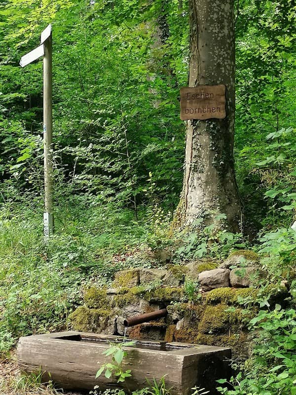 Eschenbornchen Quelle - Image 1