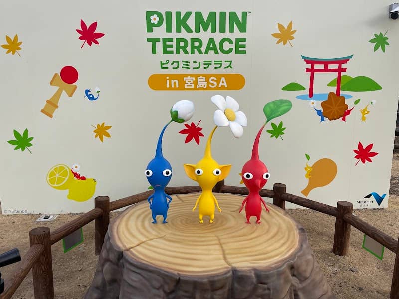 Pikmin Terrace in Miyajima SA - Image 1