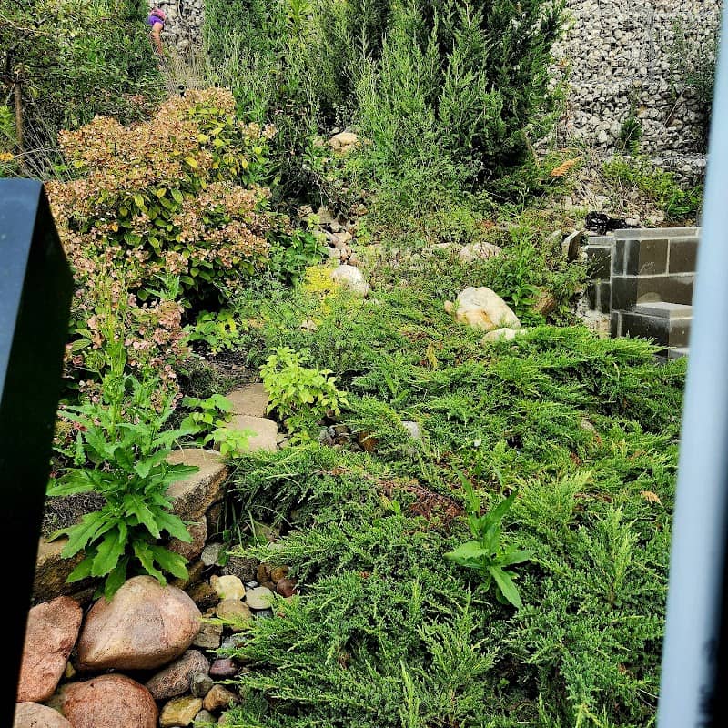 Pocket Park - Image 3