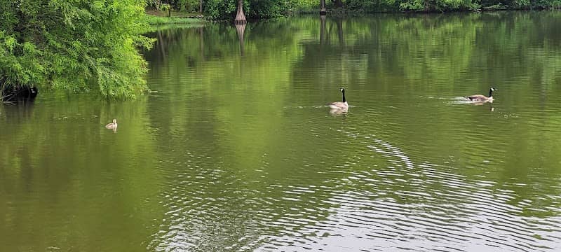 Frazier park - Image 2
