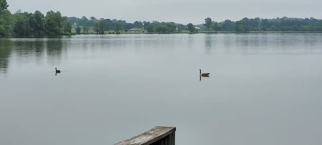 Frazier park - Image 1
