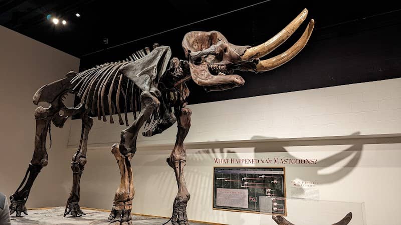 New York State Museum - Image 2