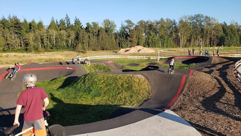 Cordata Pump Track - Image 1
