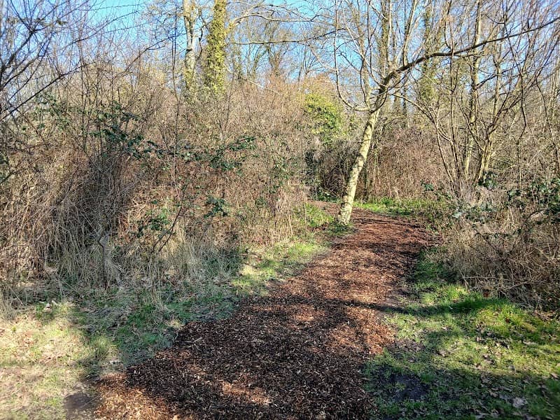 Marty’s Marsh - Image 1