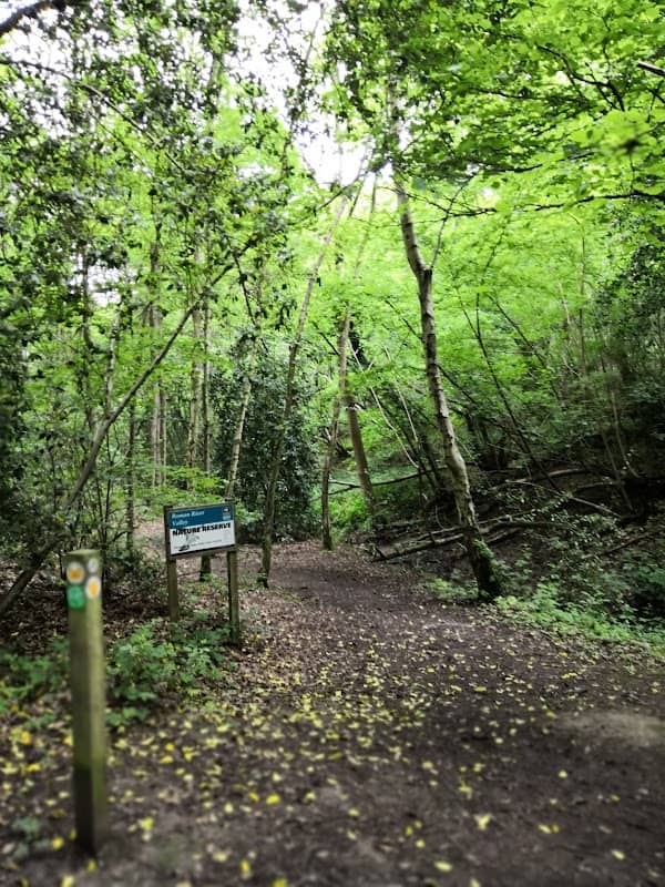 Roman River Valley - Image 2