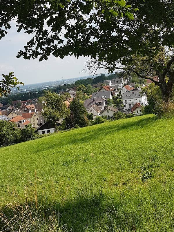 Aussichtspunkt Marxheim - Image 2
