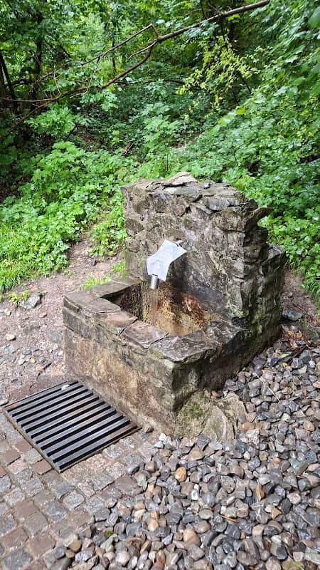Hangquellmoor Brunnen Quellwasser - Image 1