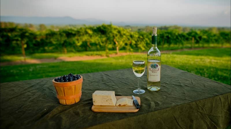 Morris Vineyard - Image 1