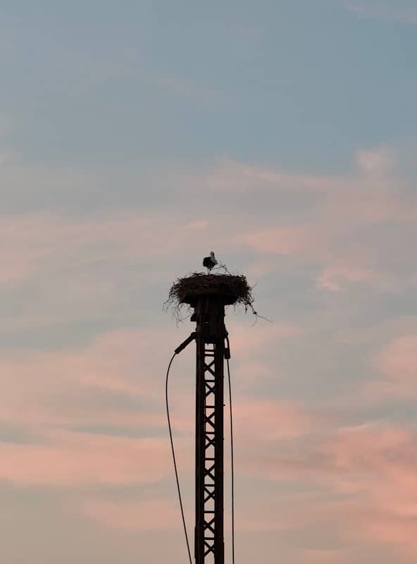 Storchennest - Image 2