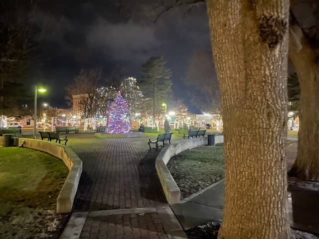 Stevens Park - Image 2