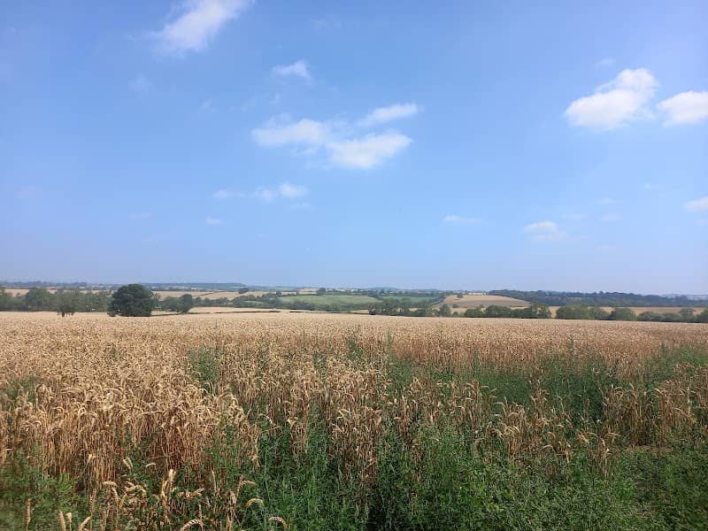 Scraptoft Nature Reserve - Image 2