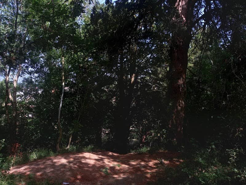 Scraptoft Nature Reserve - Image 1