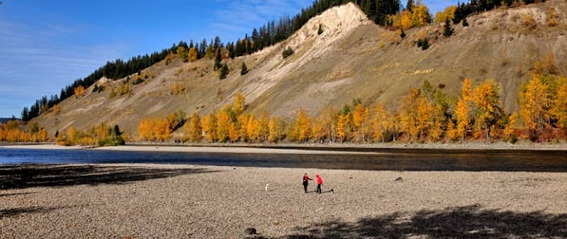 Cottonwood Island Nature Park - Image 1