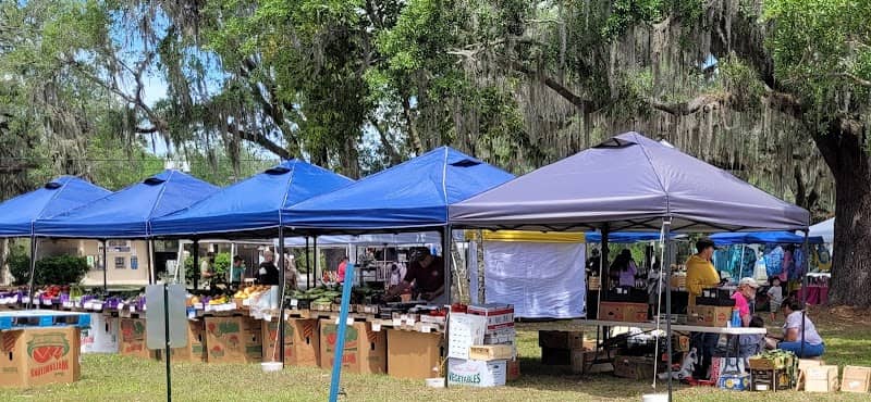 Groveland's Downtown Festival Park - Image 2