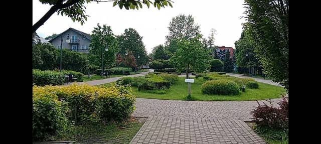 Park Miejski w Serocku - Image 1