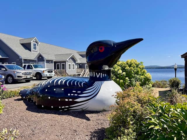 Lincoln Loon - Image 2