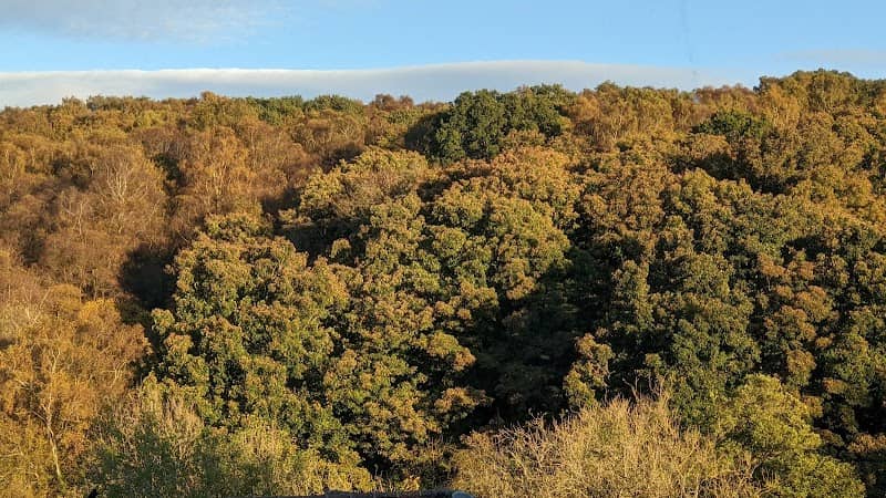 Monteith Woodland Nature Conservation Site - Image 1