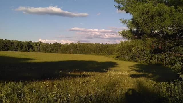 Bowdoinham Wildlife Management Area - Image 1