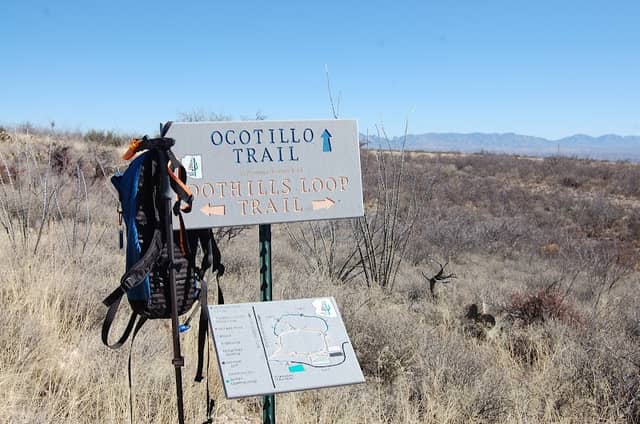 Ocotillo Trail - Image 1