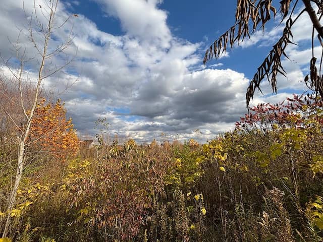 Berry Family Conservation Area - Image 1