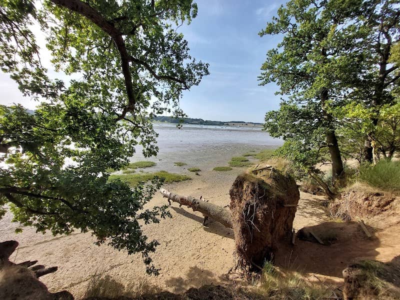 Orwell Country Park - Image 3