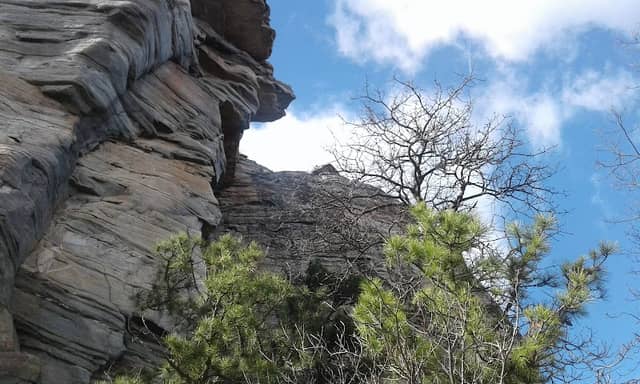Pinnacle Lions Park - Image 2