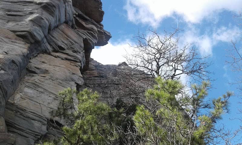 Pinnacle Lions Park - Image 1